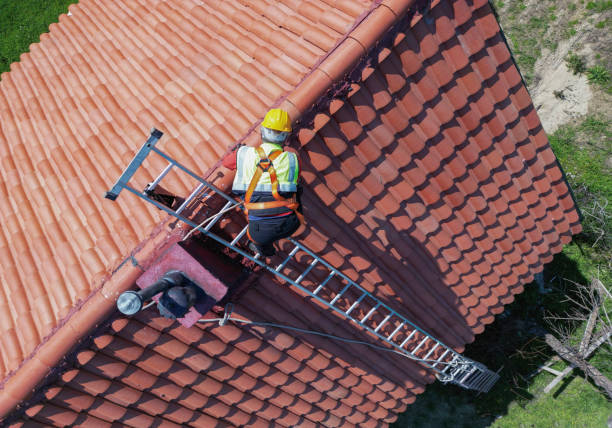 Best Asphalt Shingle Roofing  in Mendota, IL